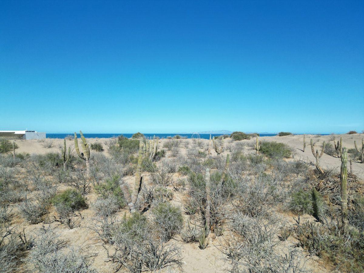 Lot in El Centenario, La Paz, photo 9 of 16