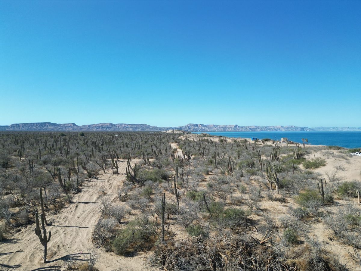 Lot in El Centenario, La Paz, photo 11 of 16