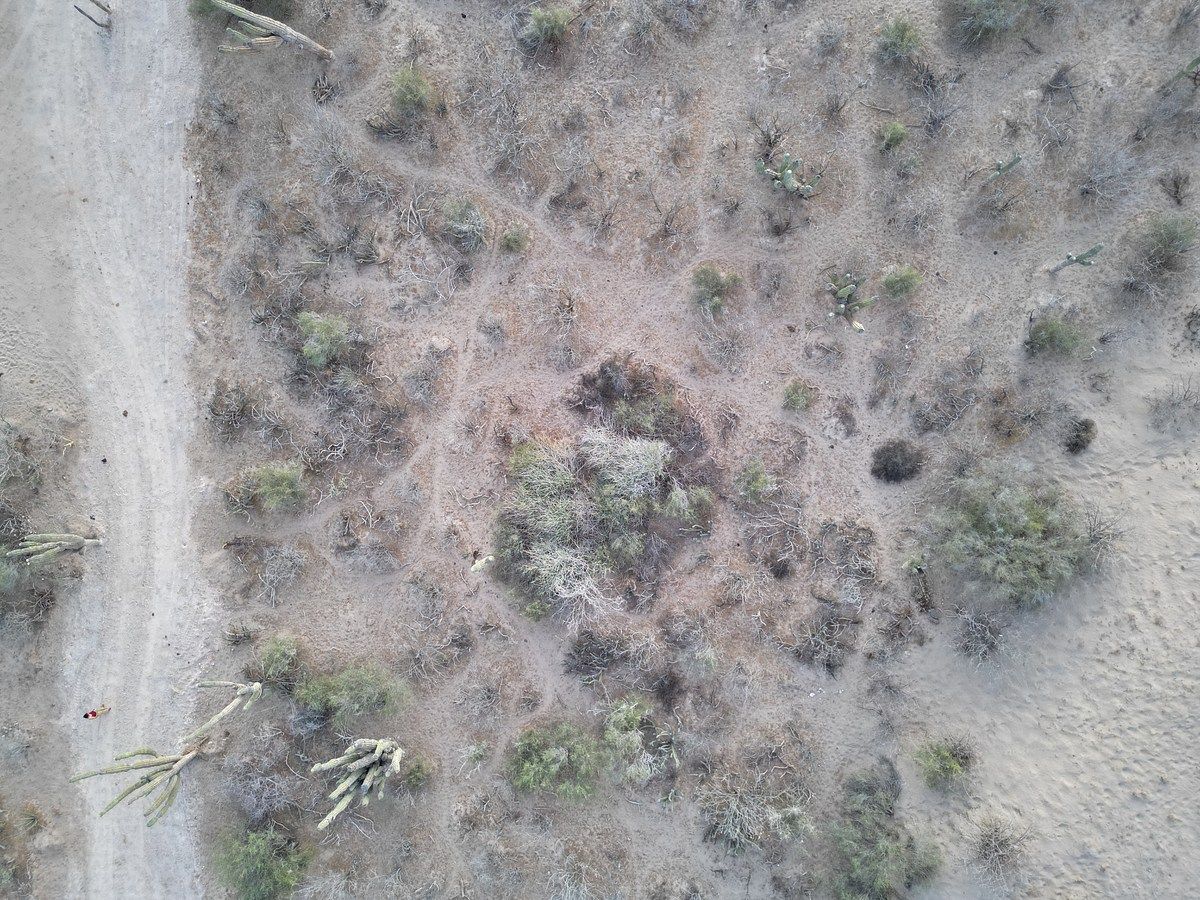 Lot in El Centenario, La Paz, photo 16 of 16
