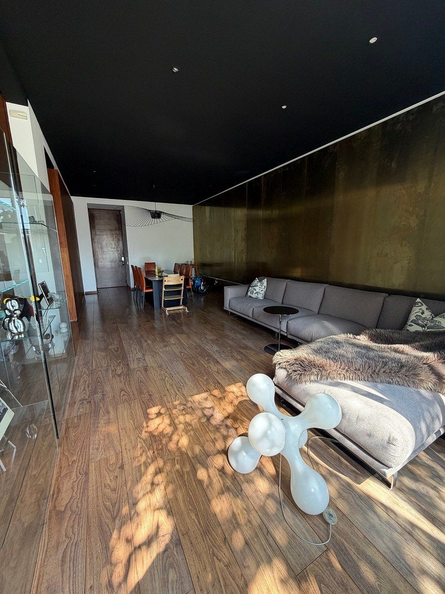 PENTHOUSE EN LA COLONIA TIZAPÁN SAN ÁNGEL, foto 1 de 19