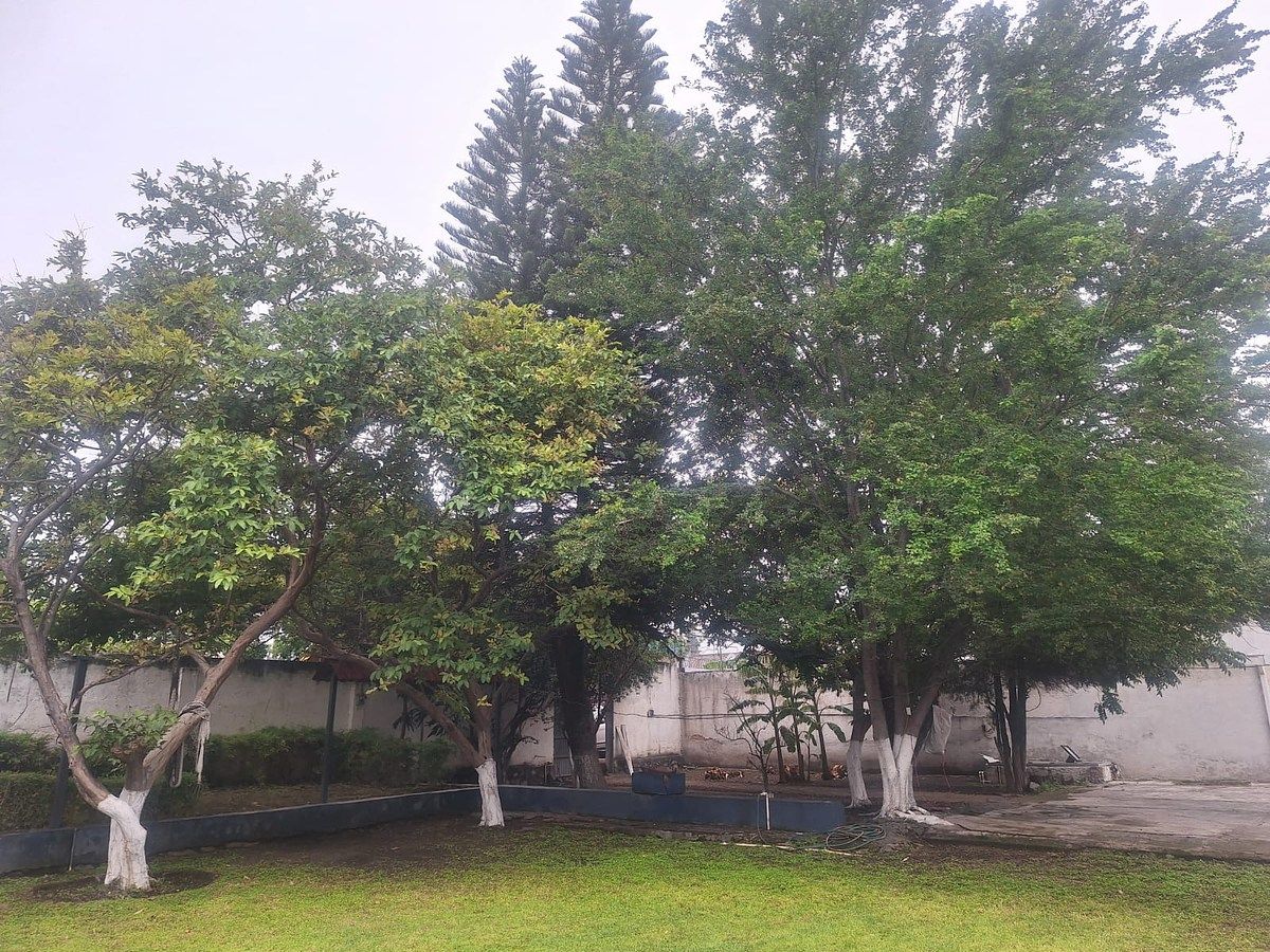 Terreno en San José del Quince, El Salto, foto 8 de 14