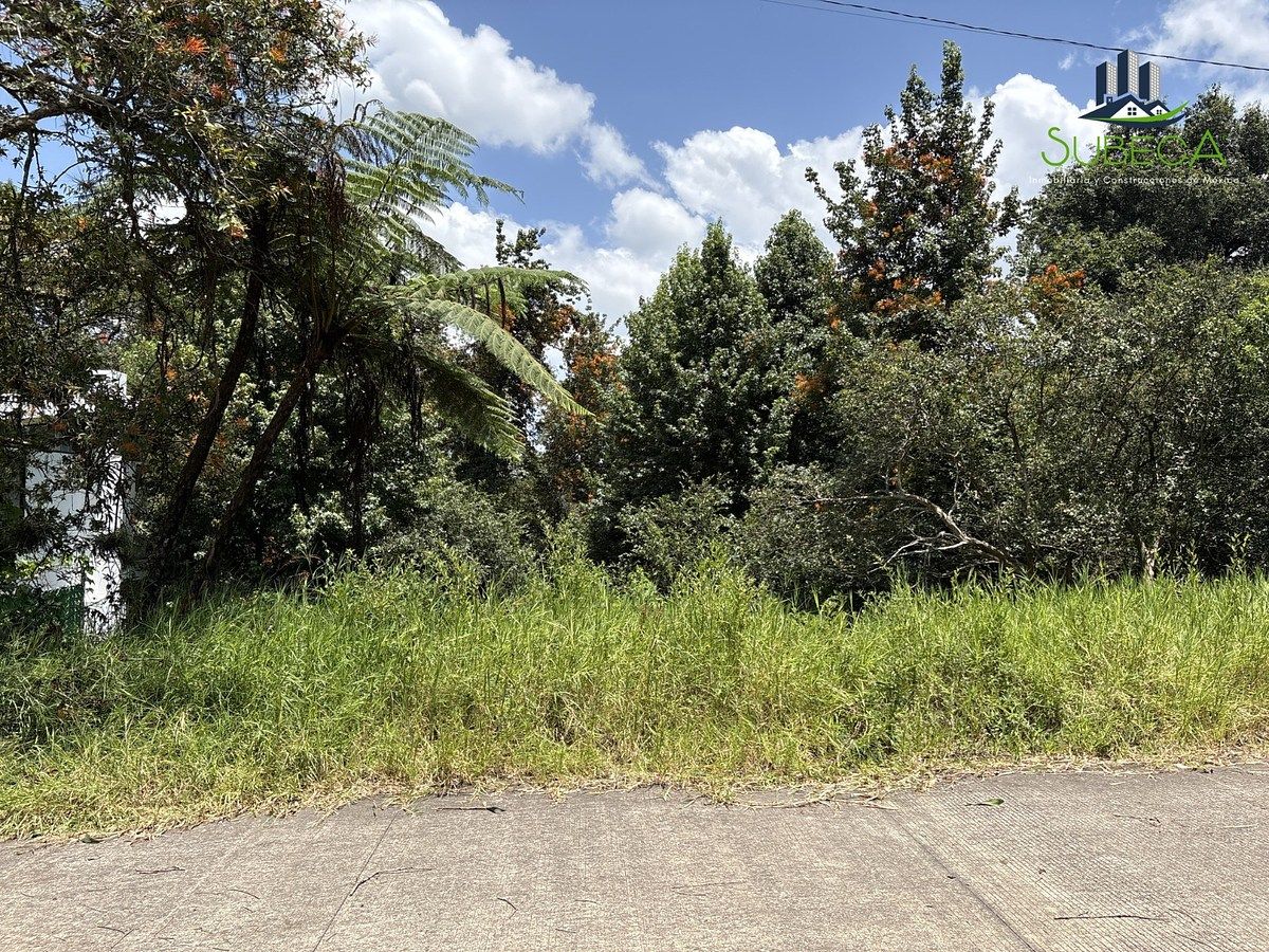 Land for Sale Rancho Viejo Tlanelhuayocan, photo 1 of 9