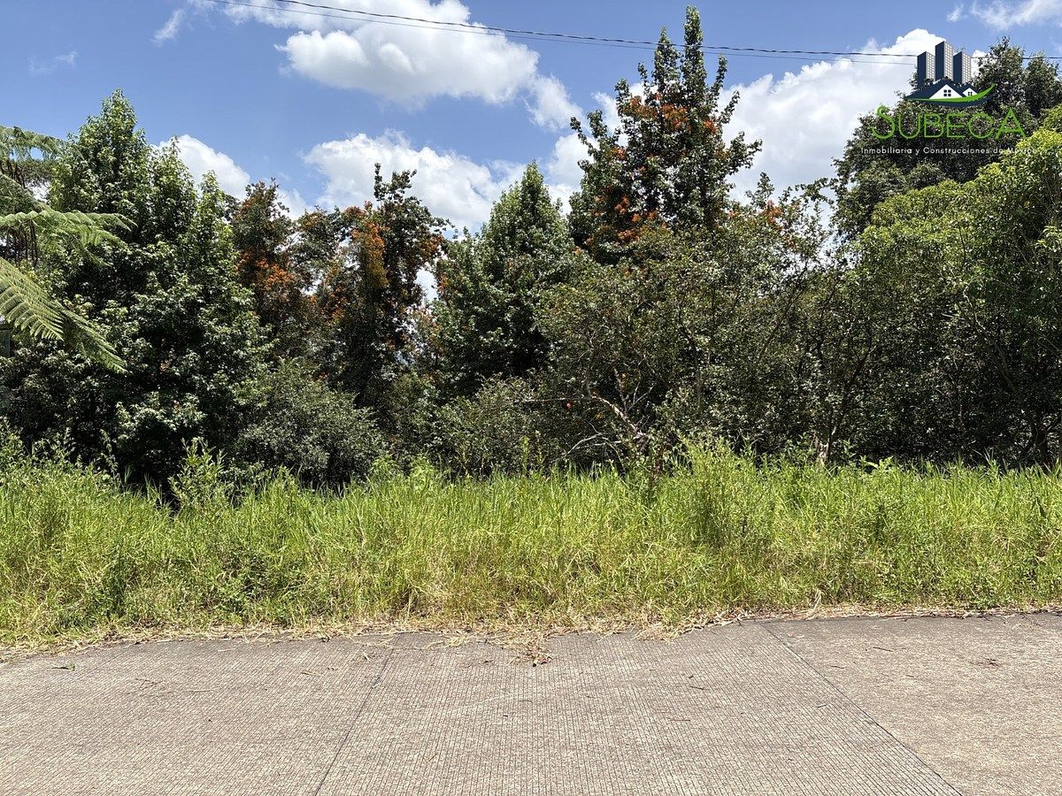 Lot in Tlalnelhuayocan, Tlalnelhuayocan, photo 5 of 9