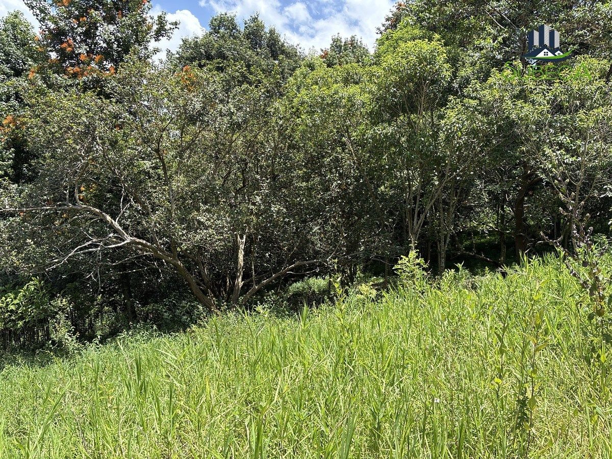 Lot in Tlalnelhuayocan, Tlalnelhuayocan, photo 6 of 9