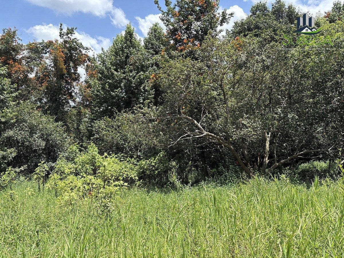 Lot in Tlalnelhuayocan, Tlalnelhuayocan, photo 7 of 9