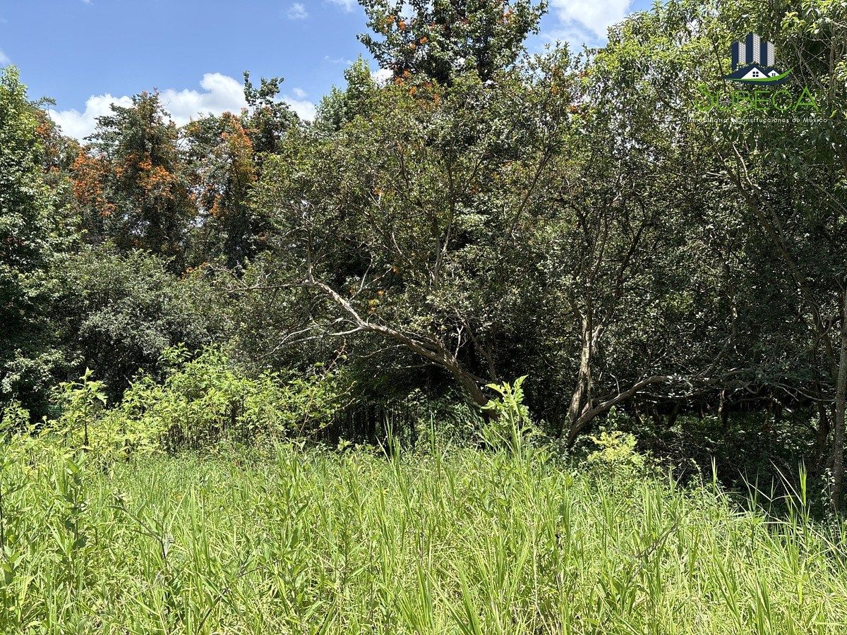 Lot in Tlalnelhuayocan, Tlalnelhuayocan, photo 8 of 9