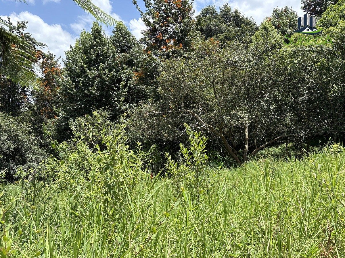 Lot in Tlalnelhuayocan, Tlalnelhuayocan, photo 9 of 9