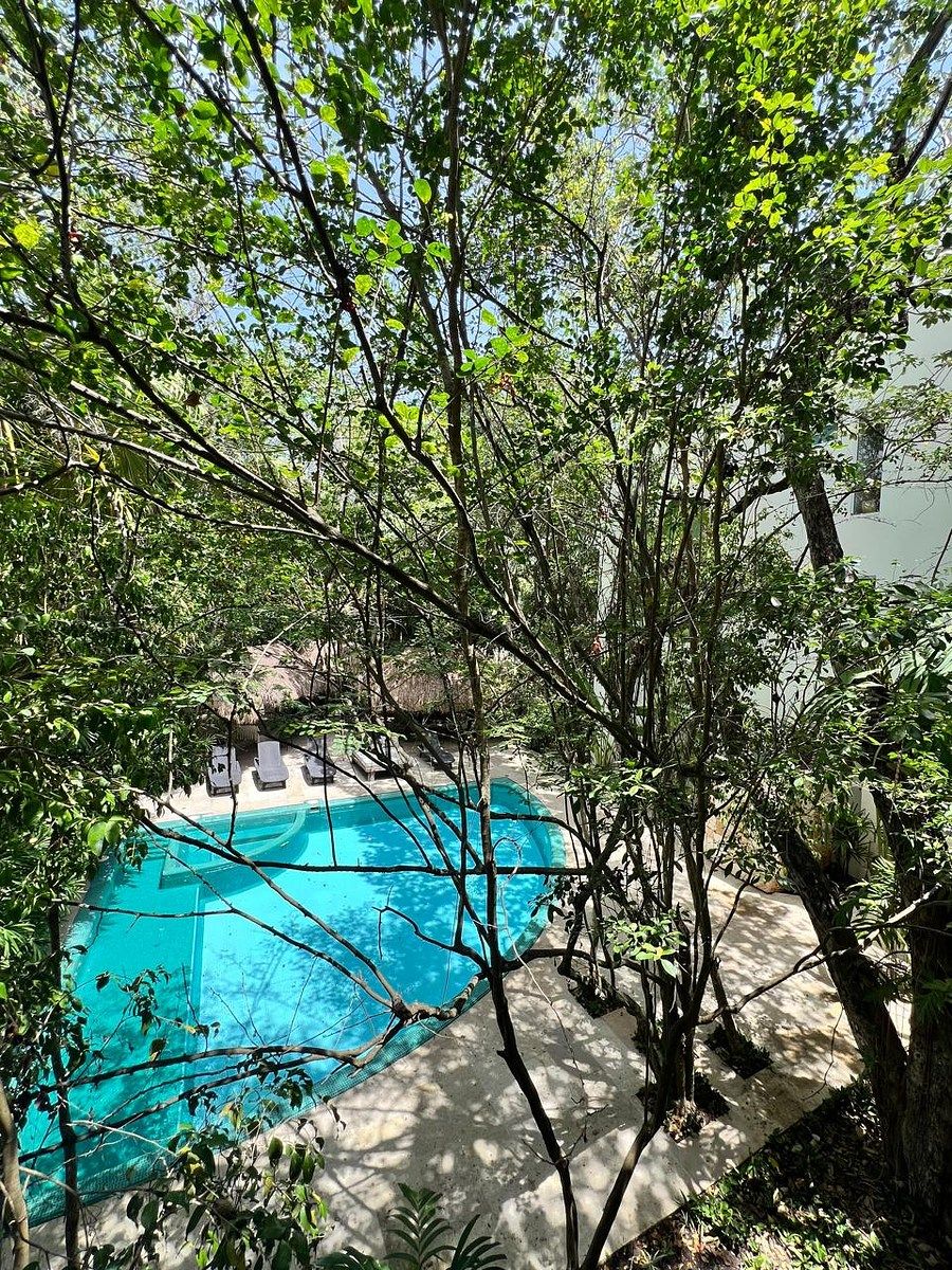 Apartment in Playa Car Fase II, Playa del Carmen, photo 27 of 36