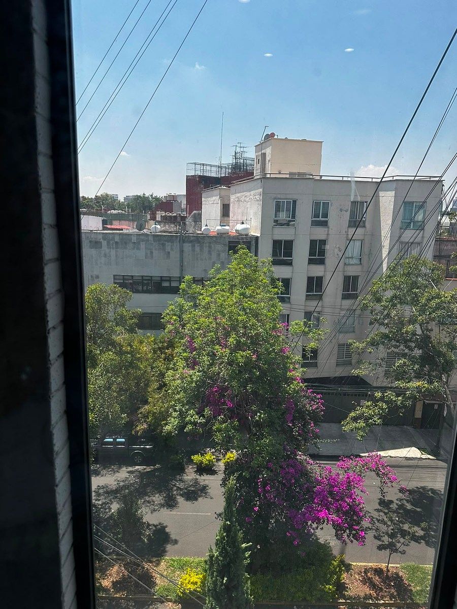 Apartment in Del Valle Norte, Benito Juárez, photo 4 of 17