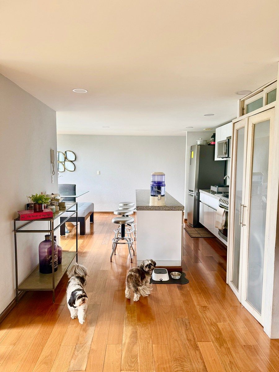 Departamento en Colonia Condesa, Cuauhtémoc, foto 8 de 19