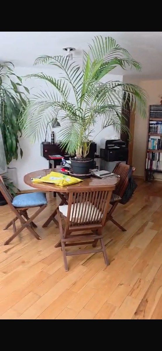 Apartment in Anzures, Miguel Hidalgo, photo 11 of 26