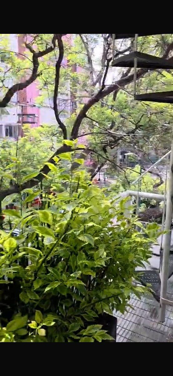 Apartment in Anzures, Miguel Hidalgo, photo 17 of 26