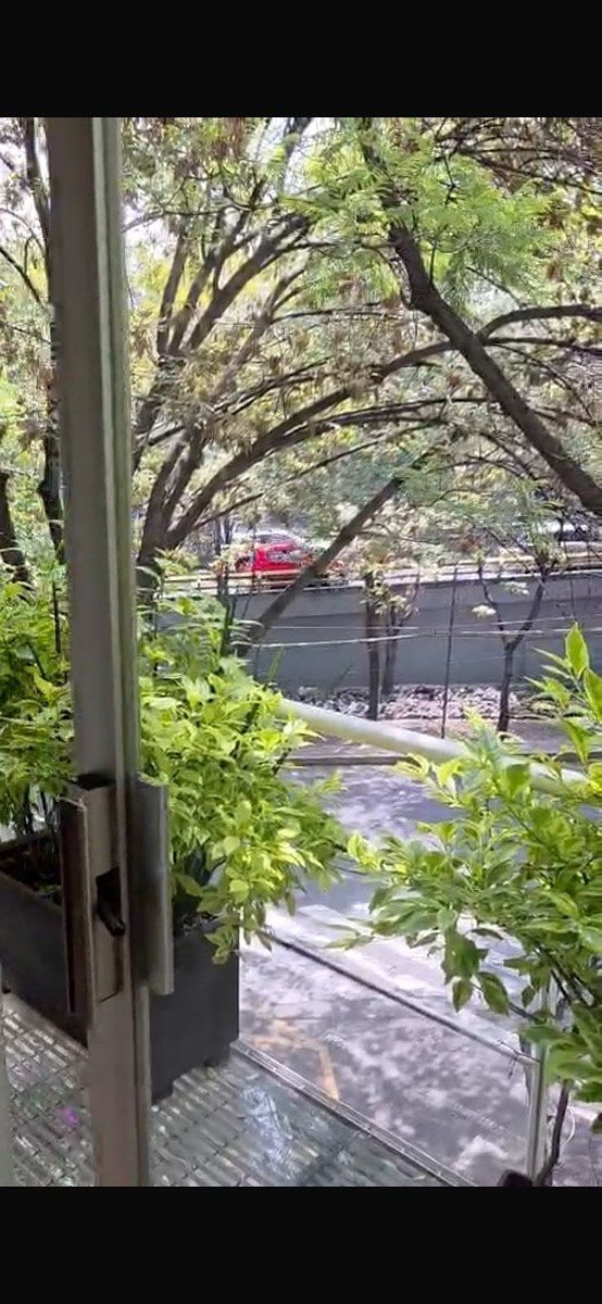 Apartment in Anzures, Miguel Hidalgo, photo 18 of 26