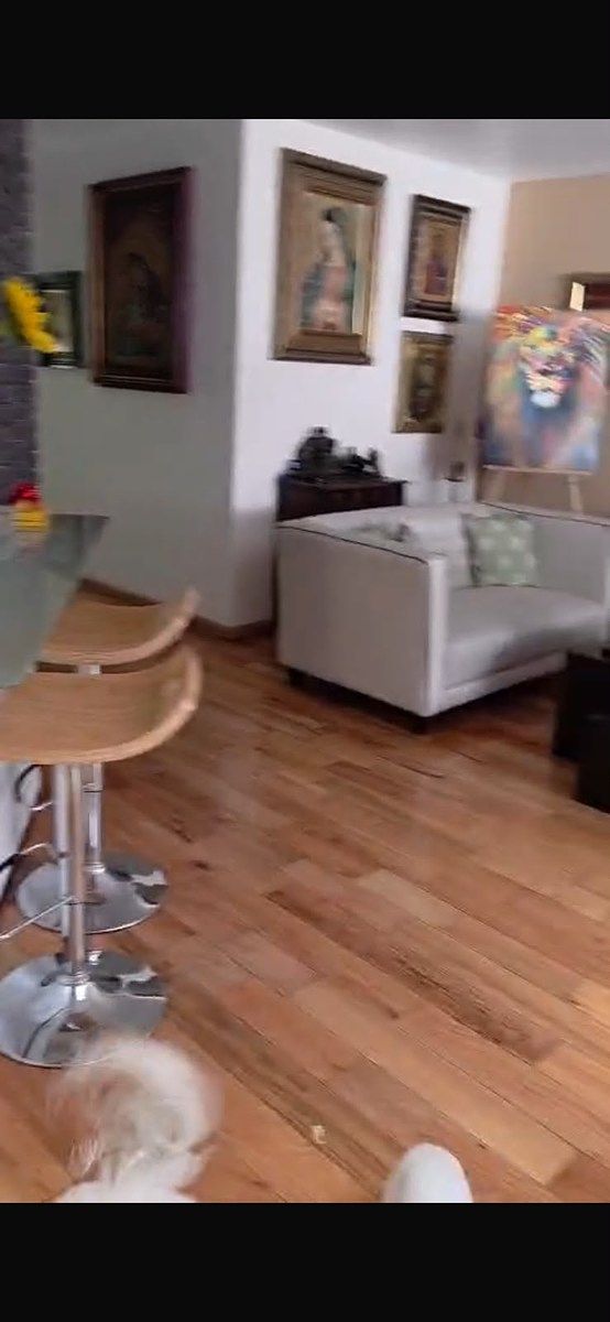 Apartment in Anzures, Miguel Hidalgo, photo 24 of 26