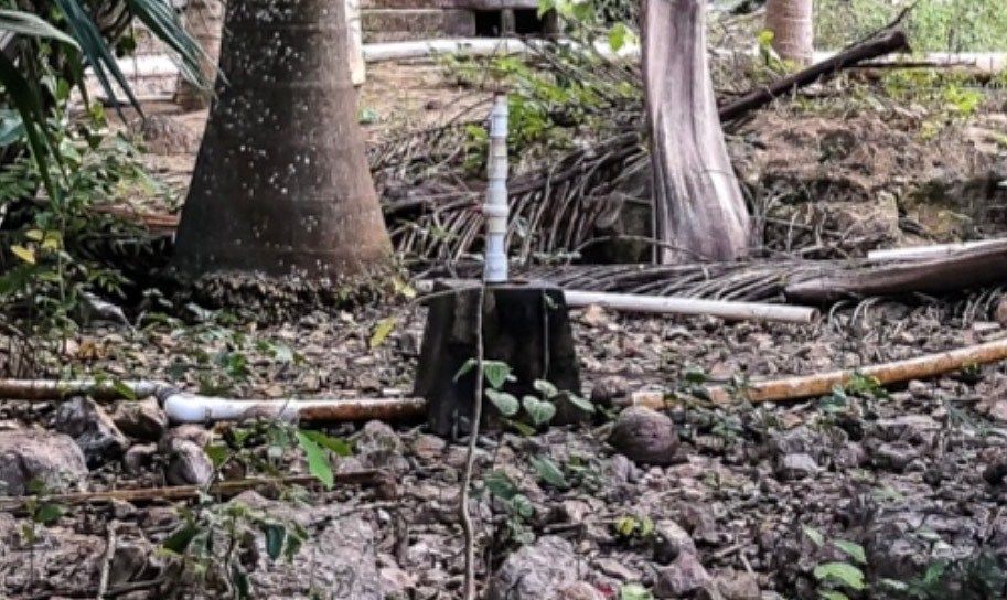 Terreno en Tinum, Tinum, foto 6 de 9