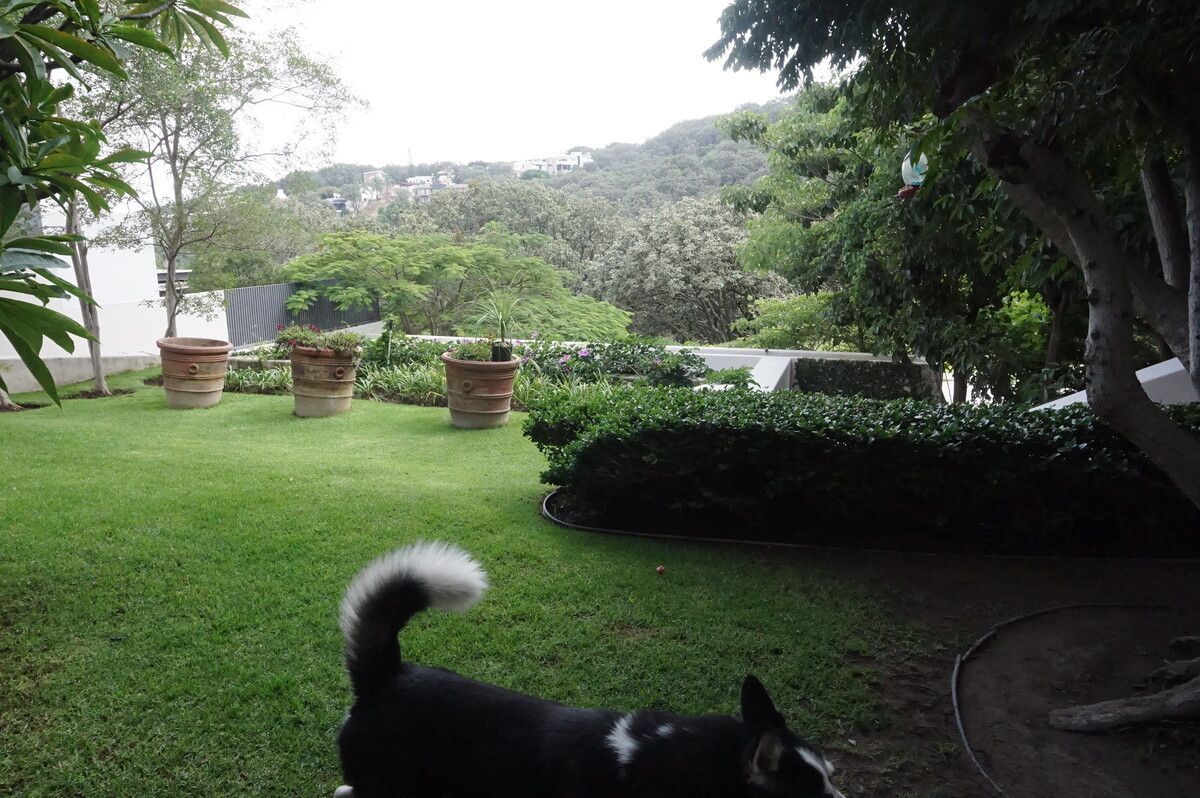 Casa em El Palomar, Tlajomulco de Zúñiga, foto 6 de 25