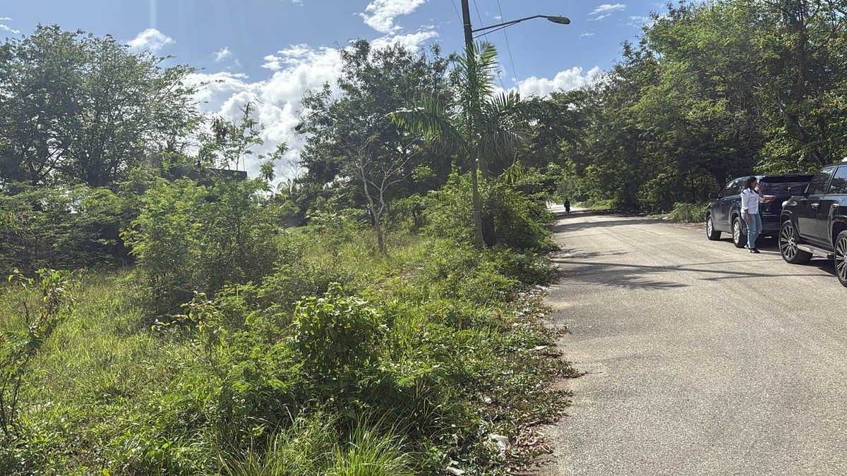 Terreno en San Antonio de Guerra, foto 3 de 3