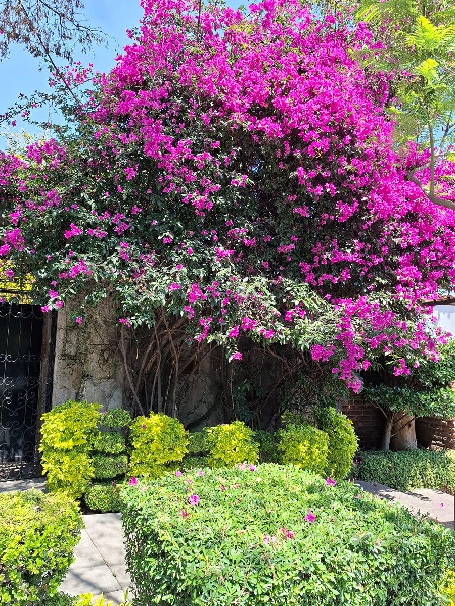 Casa en Lomas de Tecamachalco, Huixquilucan, foto 42 de 42