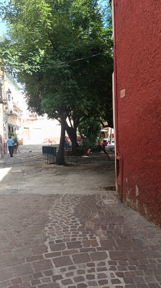 Local comercial en Guanajuato Centro, Guanajuato, foto 6 de 6
