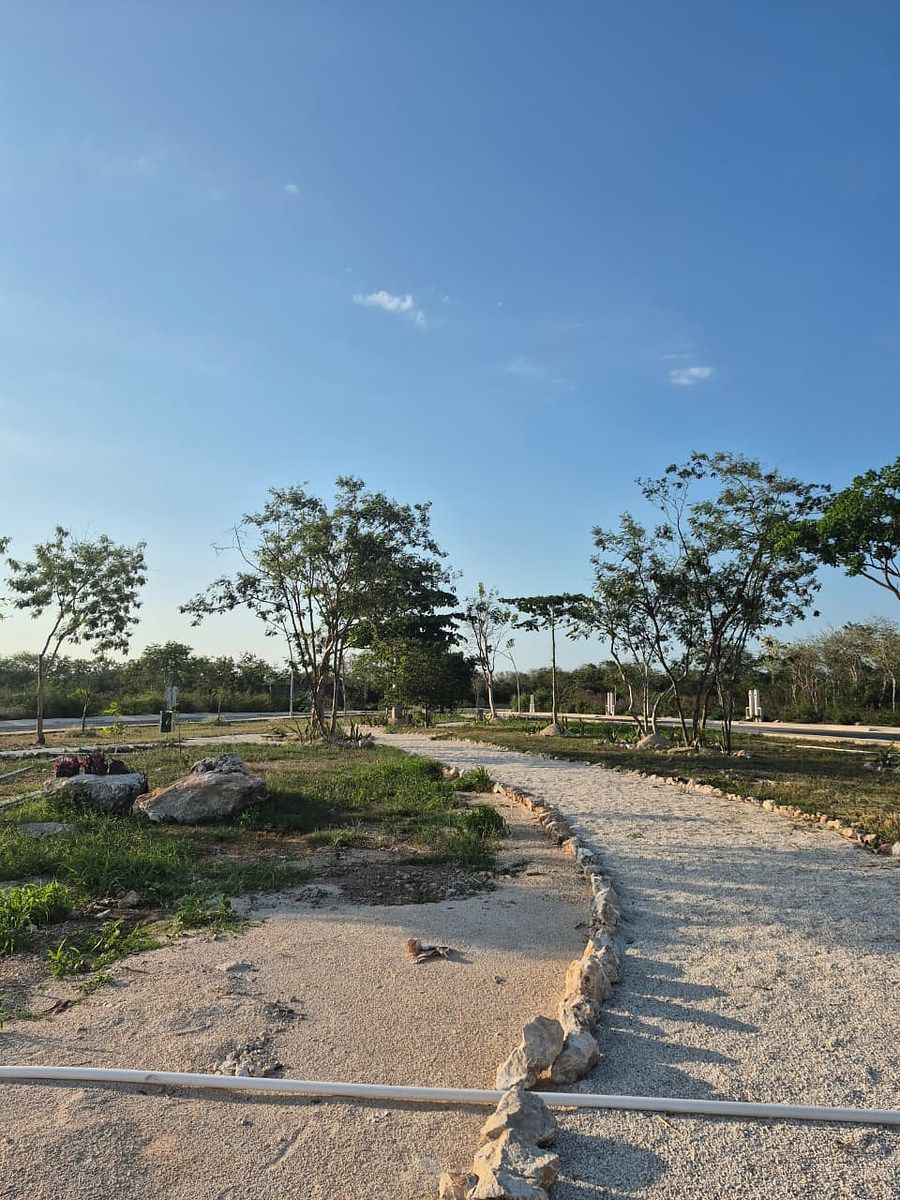 Terreno en Cholul, Mérida, foto 3 de 4