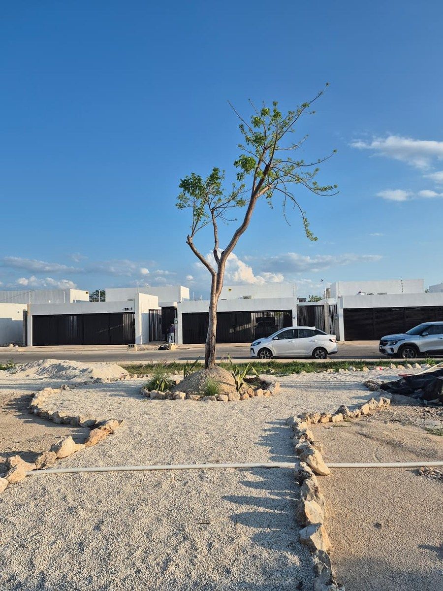 Terreno en Cholul, Mérida, foto 2 de 4