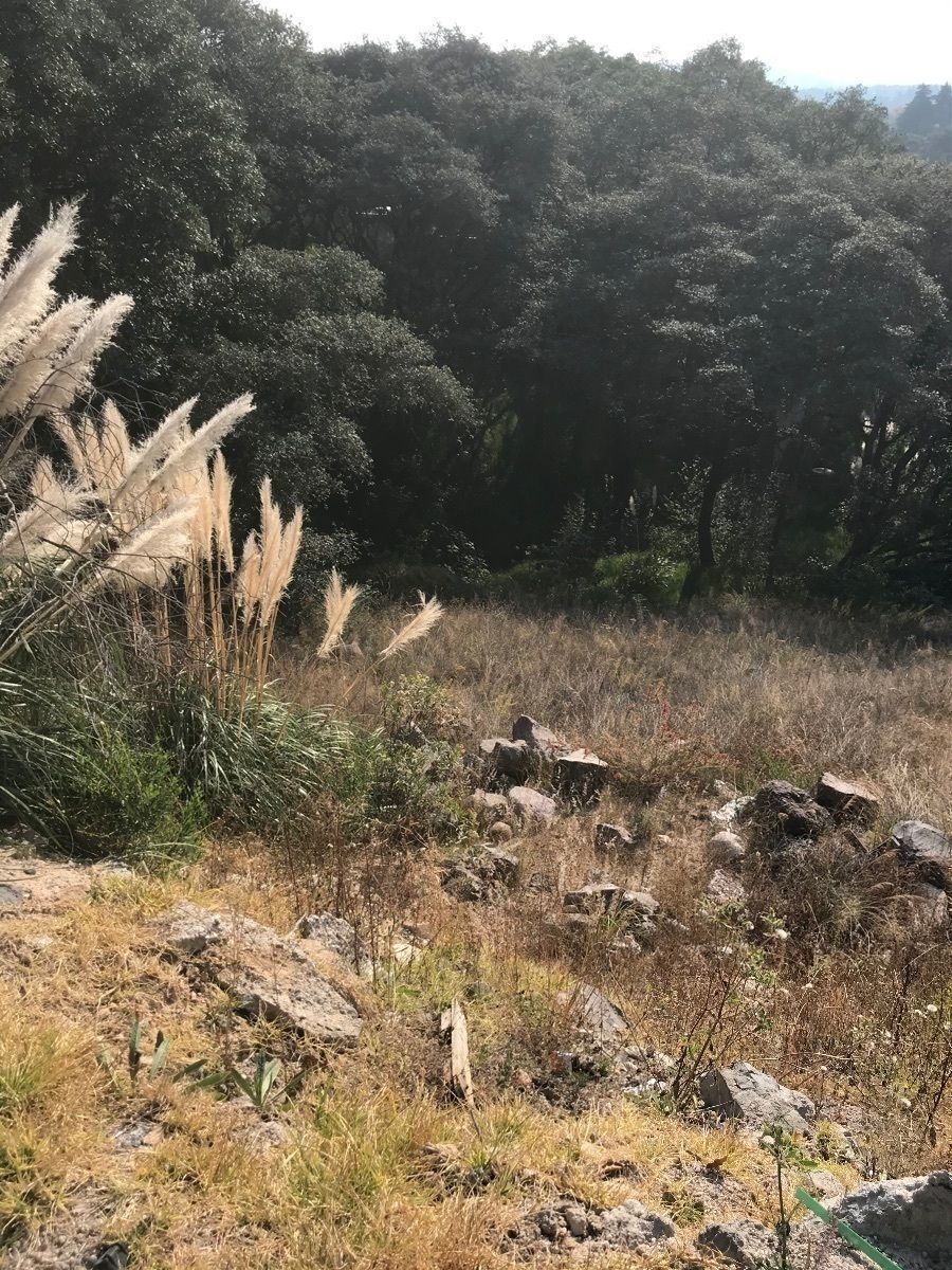 Terreno en Rancho San Juan, Atizapán de Zaragoza, foto 3 de 8