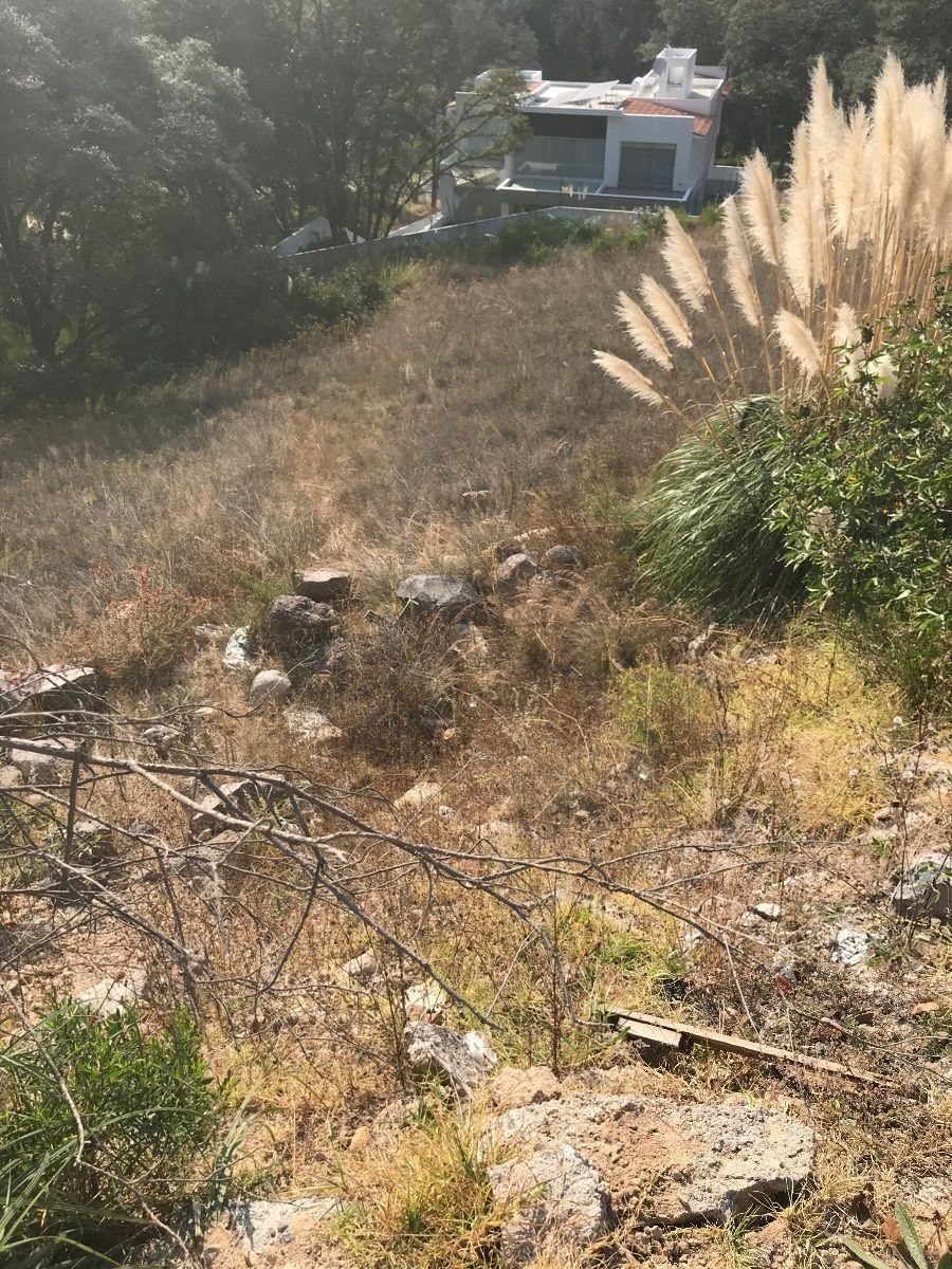 Terreno en Rancho San Juan, Atizapán de Zaragoza, foto 4 de 8
