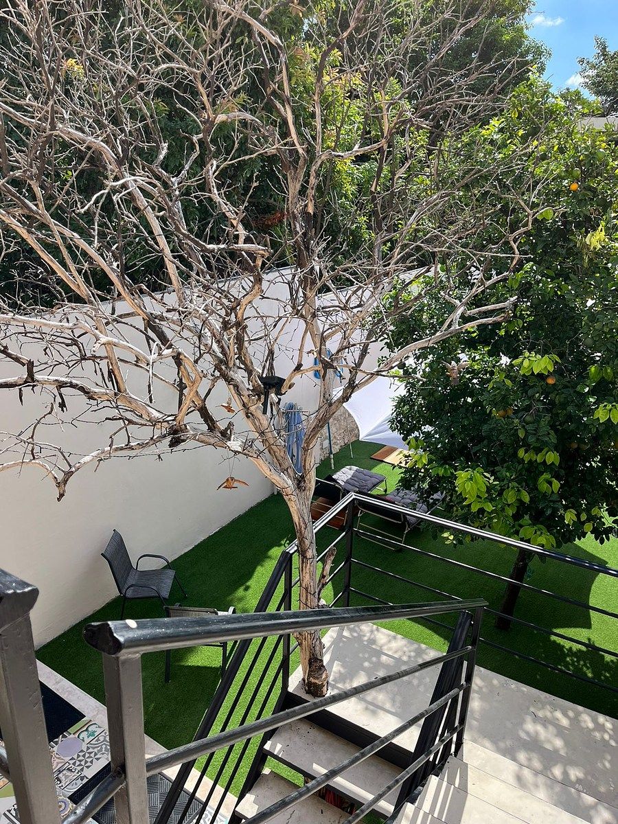 Casa en Mérida Centro, Mérida, foto 32 de 34