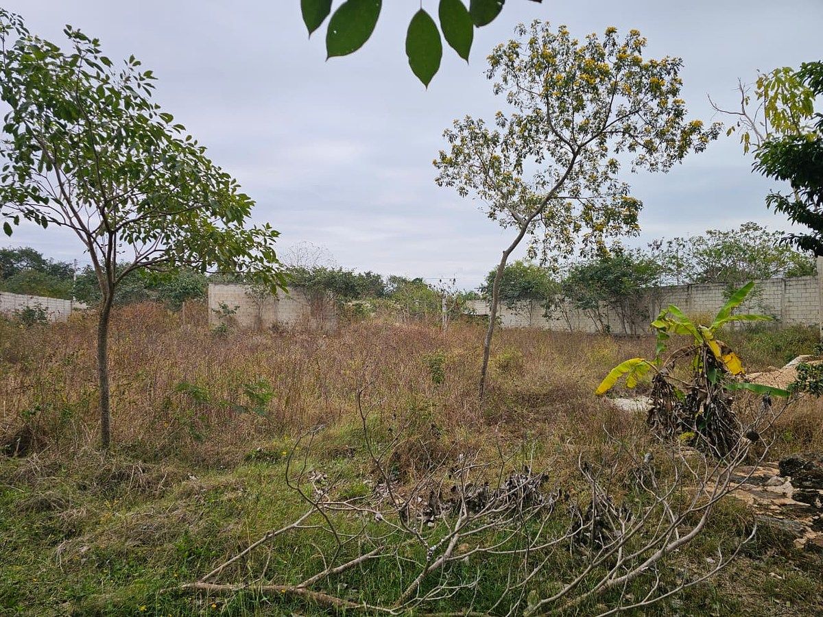 se vende terreno en chichì suarez, foto 1 de 5