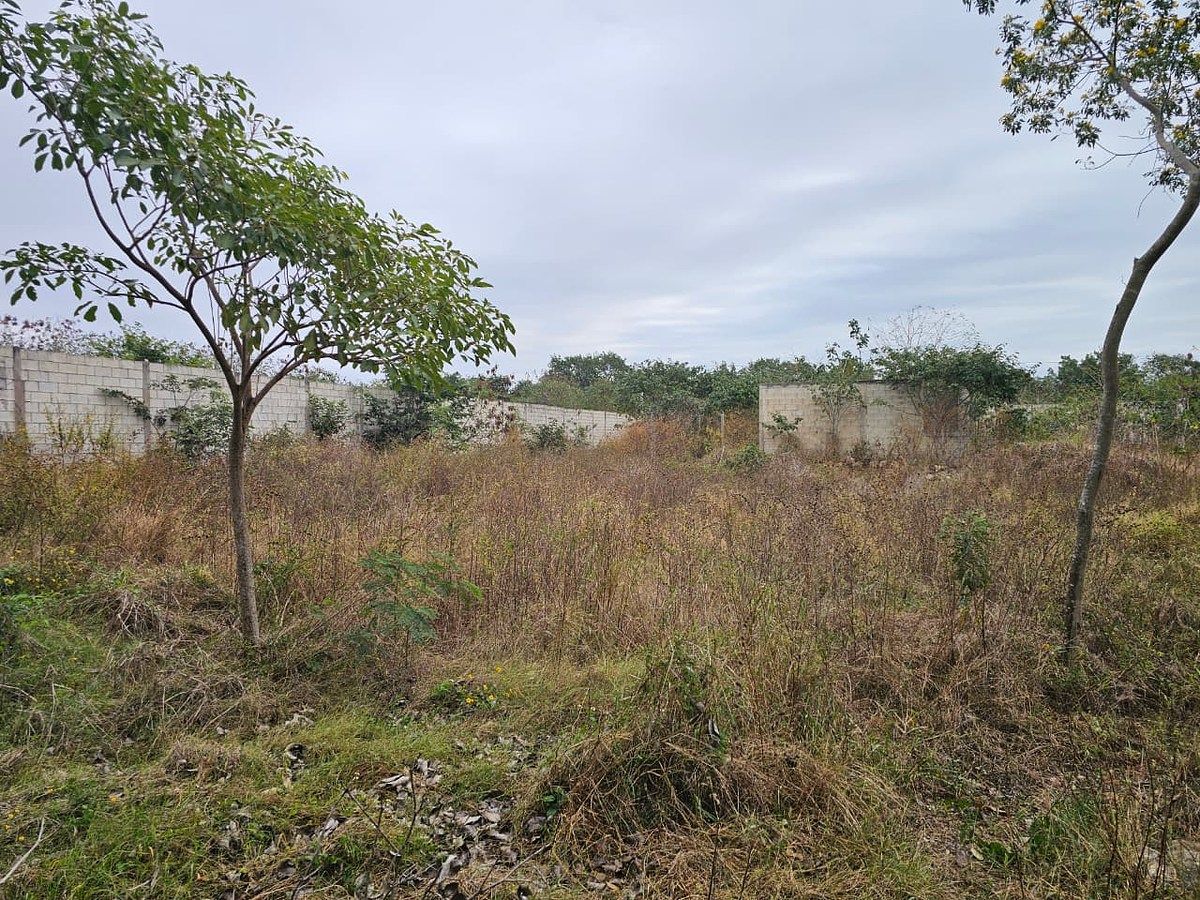 Terreno en Chichi Suárez, Mérida, foto 2 de 5