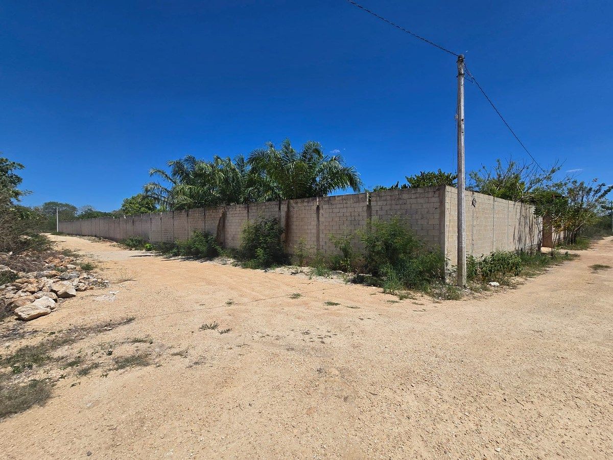 land for sale in Chichí Suárez, photo 1 of 4