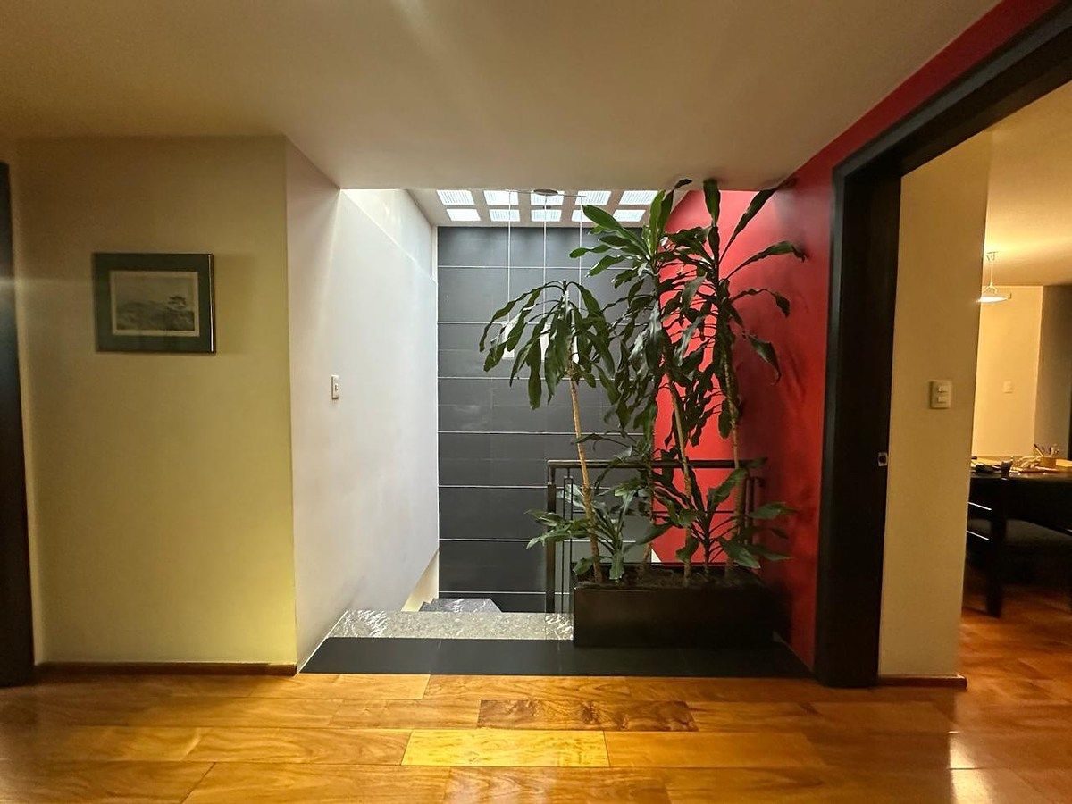 Office in Los Alpes, Álvaro Obregón, photo 19 of 28