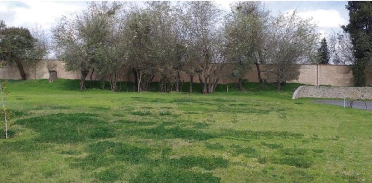 Lote em Loma Verde, Nativitas, foto 6 de 9