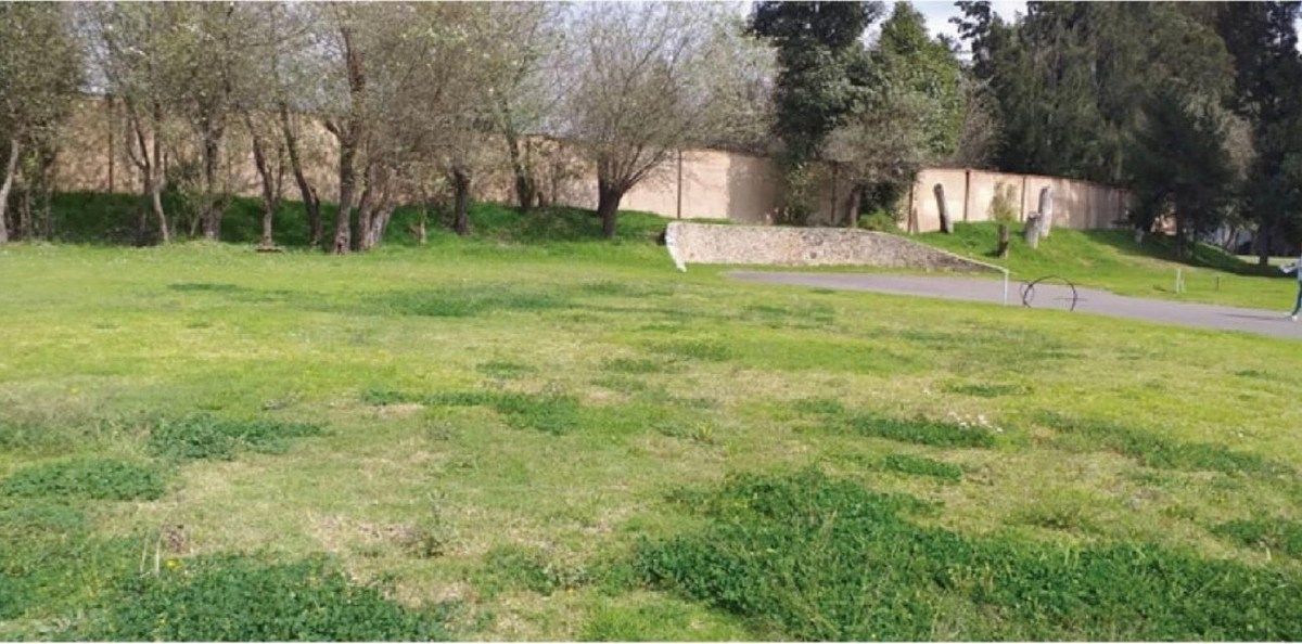 Lote em Loma Verde, Nativitas, foto 9 de 9