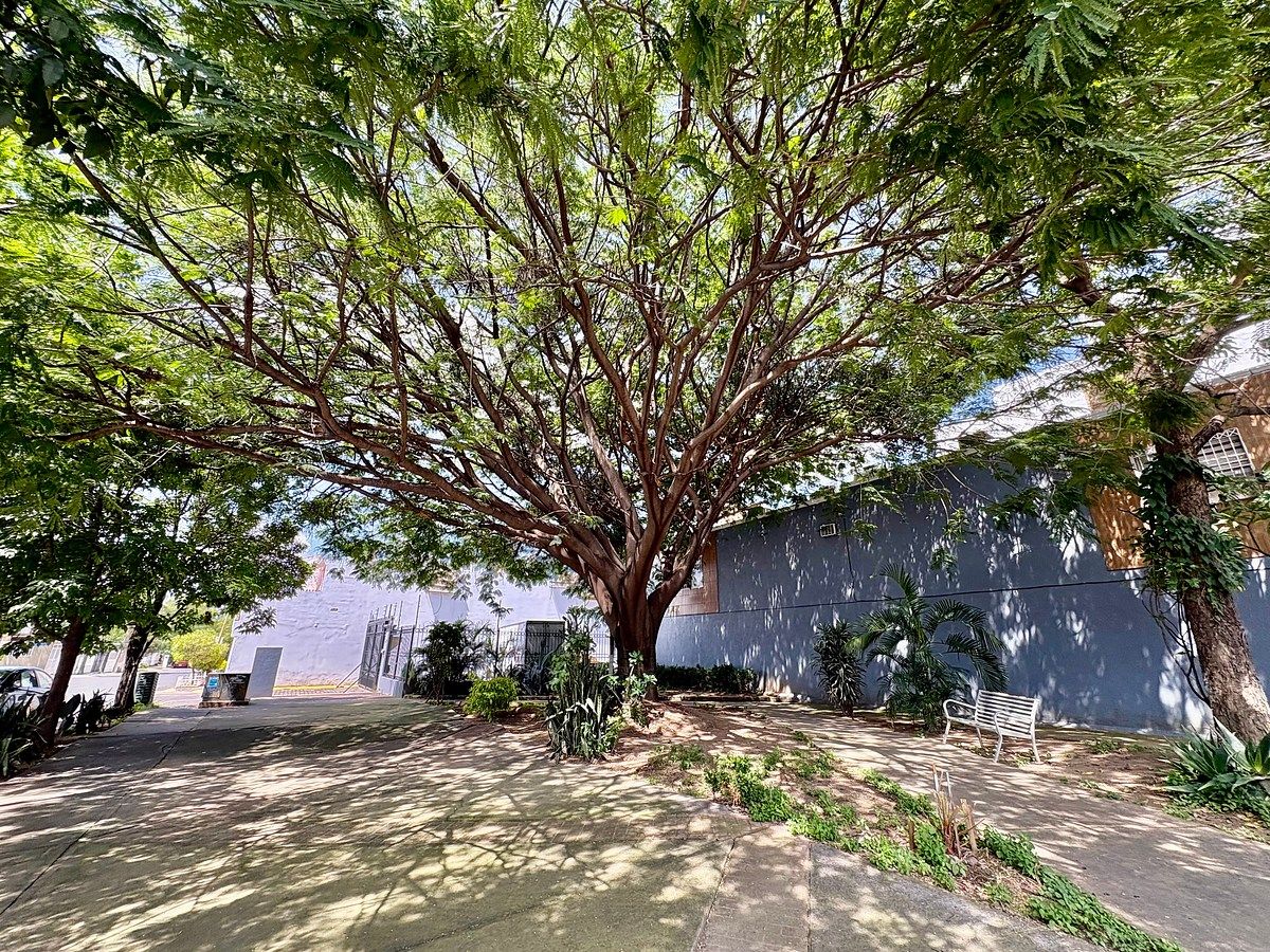 Casa en Jardines de los Historiadores, Guadalajara, foto 23 de 23