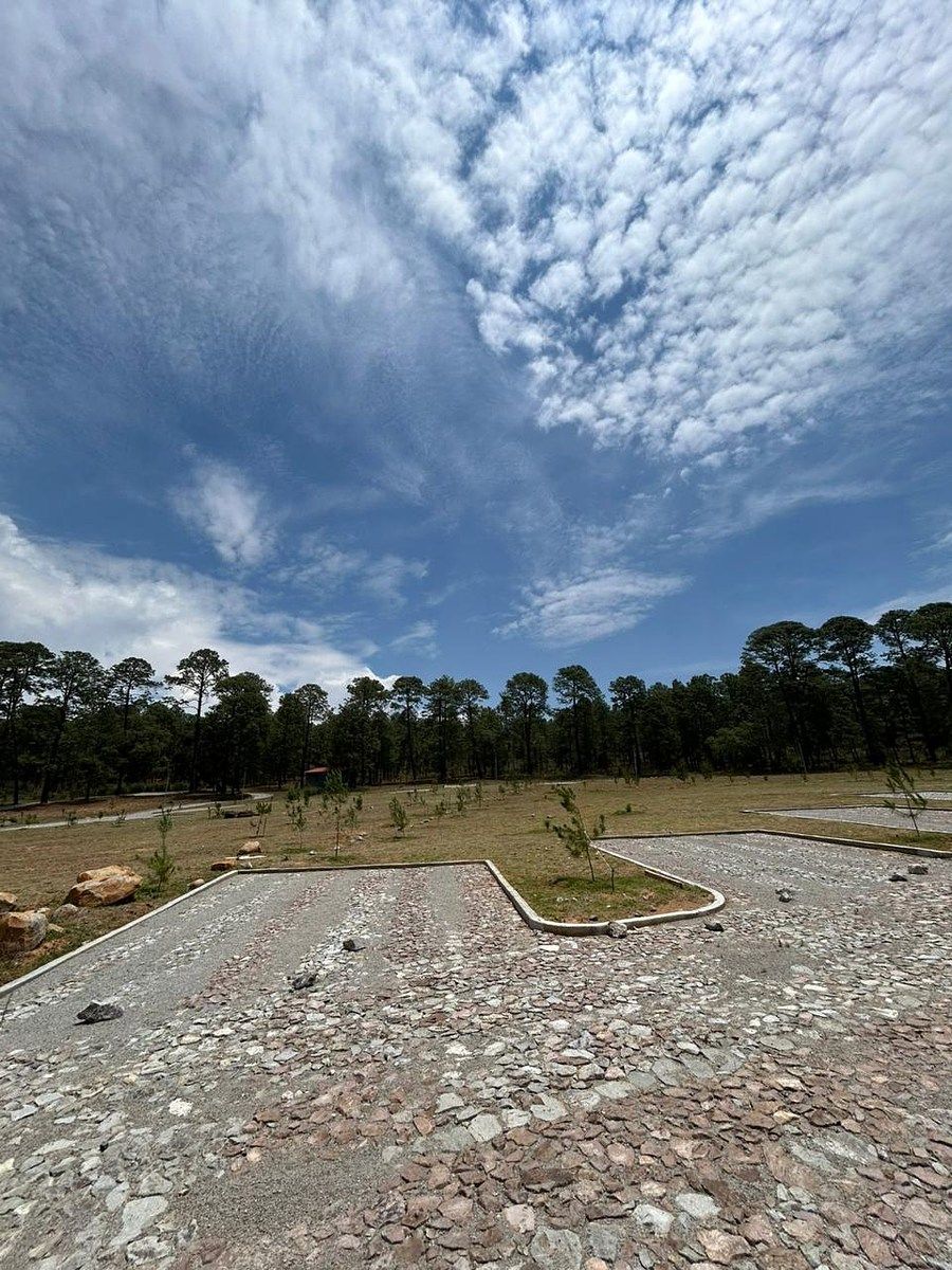 Lote em Tapalpa, Tapalpa, foto 2 de 9