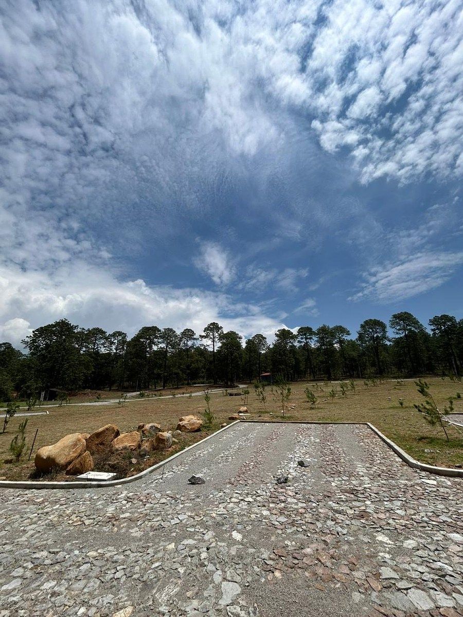 Lote em Tapalpa, Tapalpa, foto 3 de 9