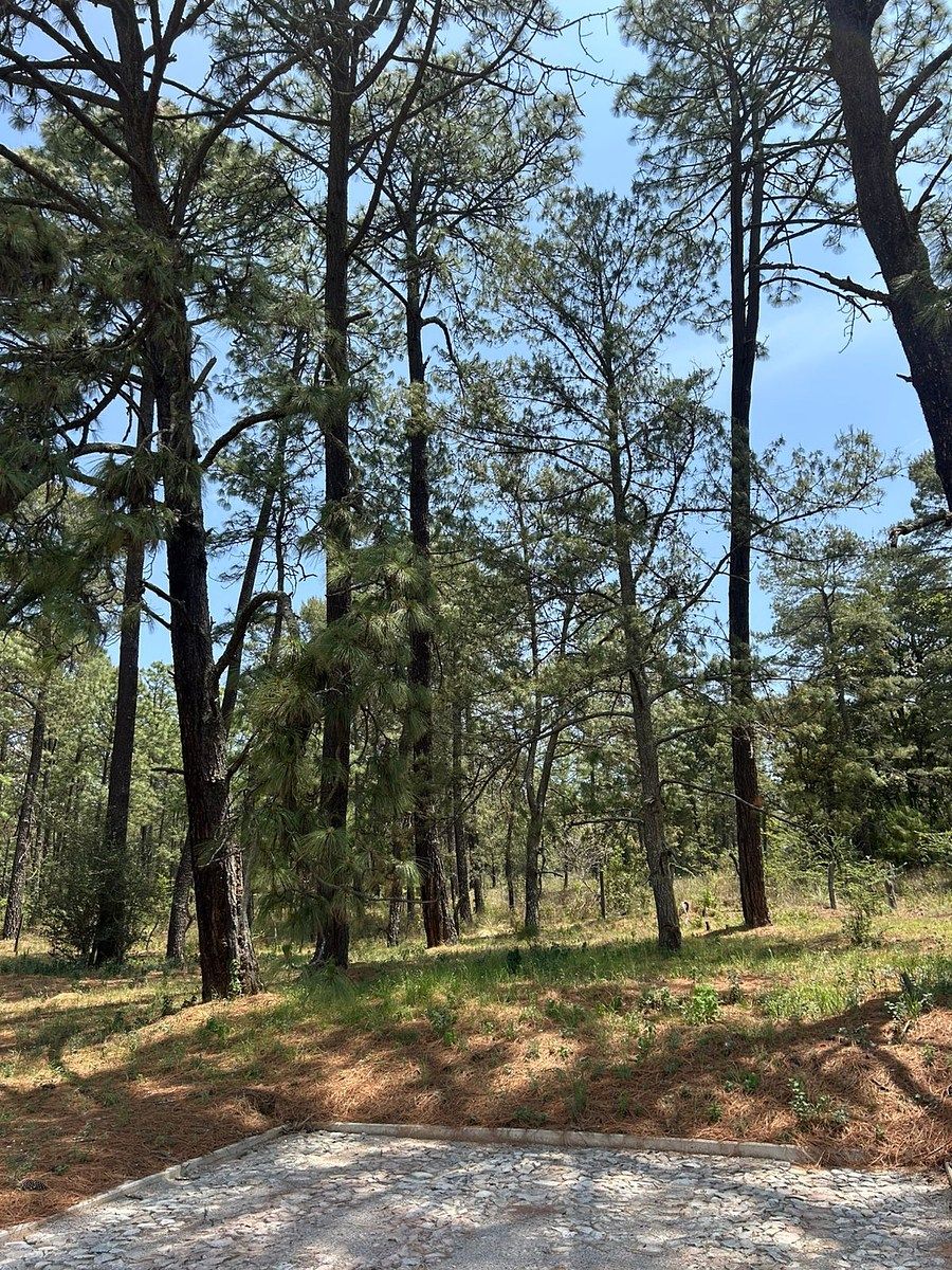Lote em Tapalpa, Tapalpa, foto 5 de 9