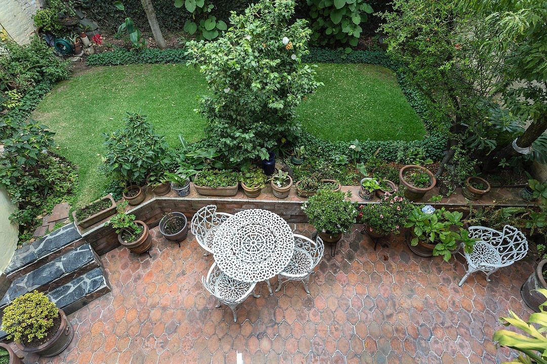 Casa en Del Carmen, Coyoacán, foto 8 de 18