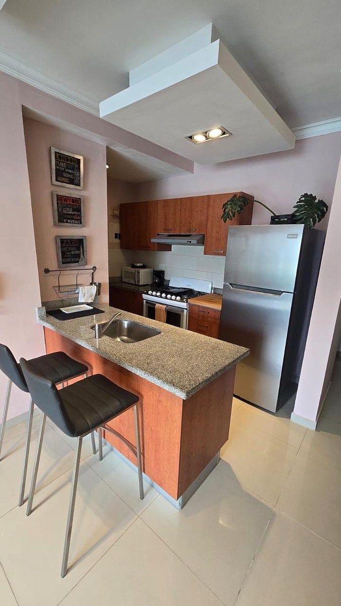 Apartamento en Julieta Morales, Santo Domingo Centro (Distrito Nacional), foto 17 de 17