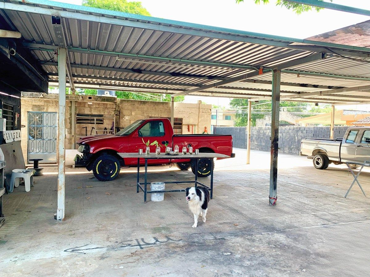 Local em Chuburna de Hidalgo, Mérida, foto 12 de 16