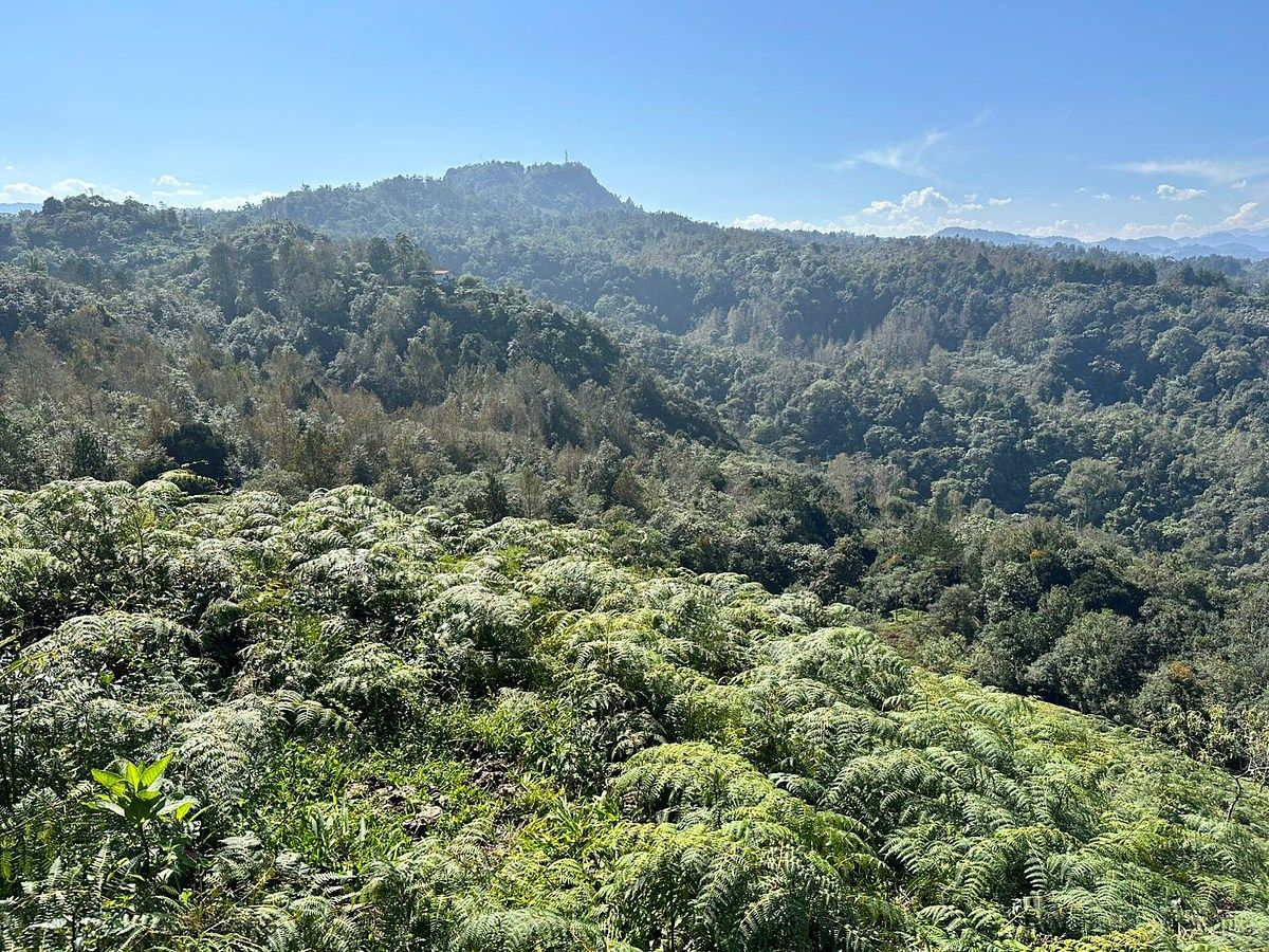 TERRENO EN VENTA EN CUETZALAN, PUEBLA - 3 HA DE BOSQUE, foto 1 de 16