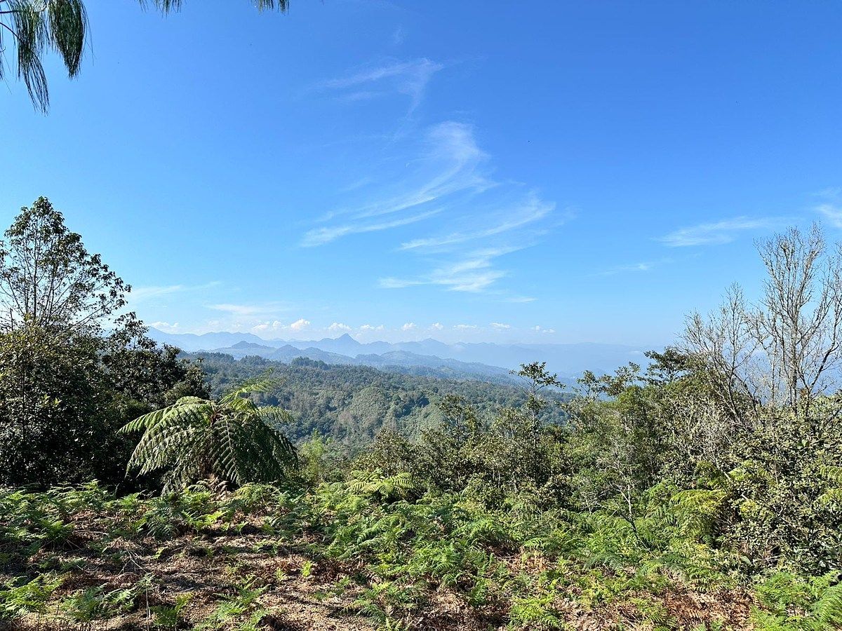 Terreno en Xocoyolo, Cuetzalán del Progreso, foto 4 de 16