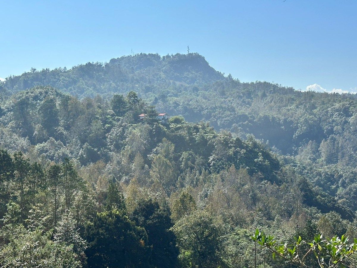 Terreno en Xocoyolo, Cuetzalán del Progreso, foto 5 de 16