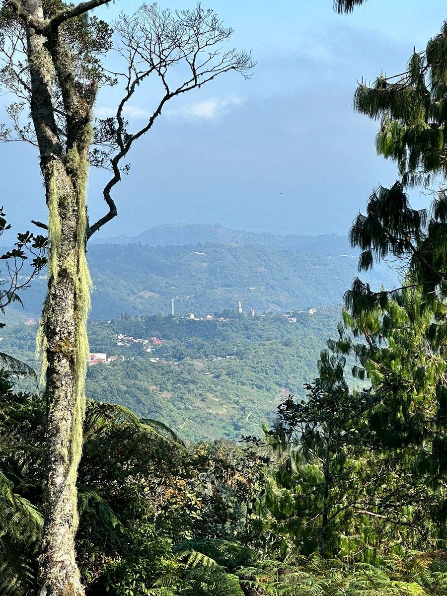 Terreno en Xocoyolo, Cuetzalán del Progreso, foto 8 de 16