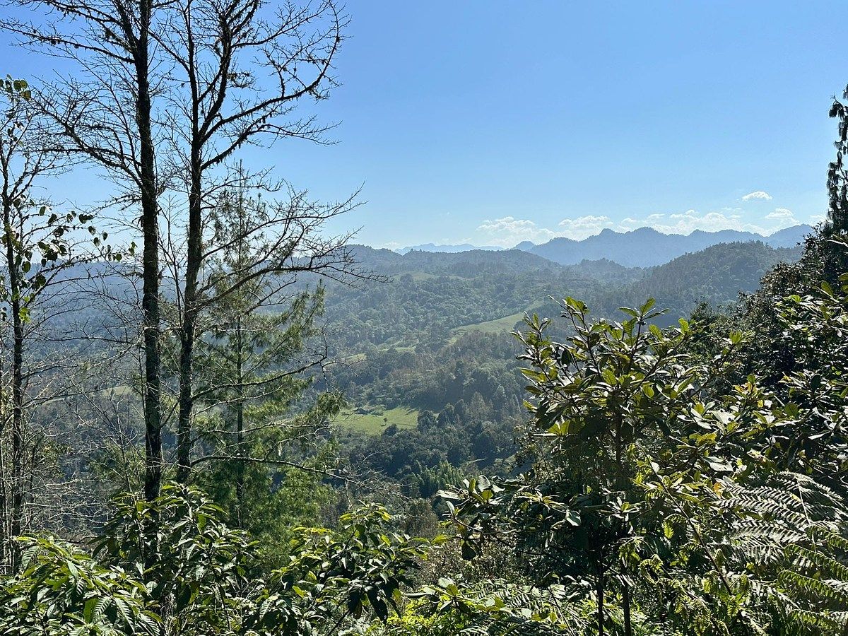 Terreno en Xocoyolo, Cuetzalán del Progreso, foto 9 de 16