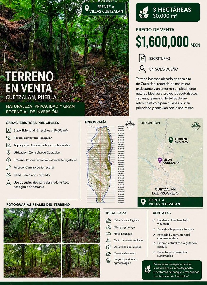 Terreno en Xocoyolo, Cuetzalán del Progreso, foto 11 de 16