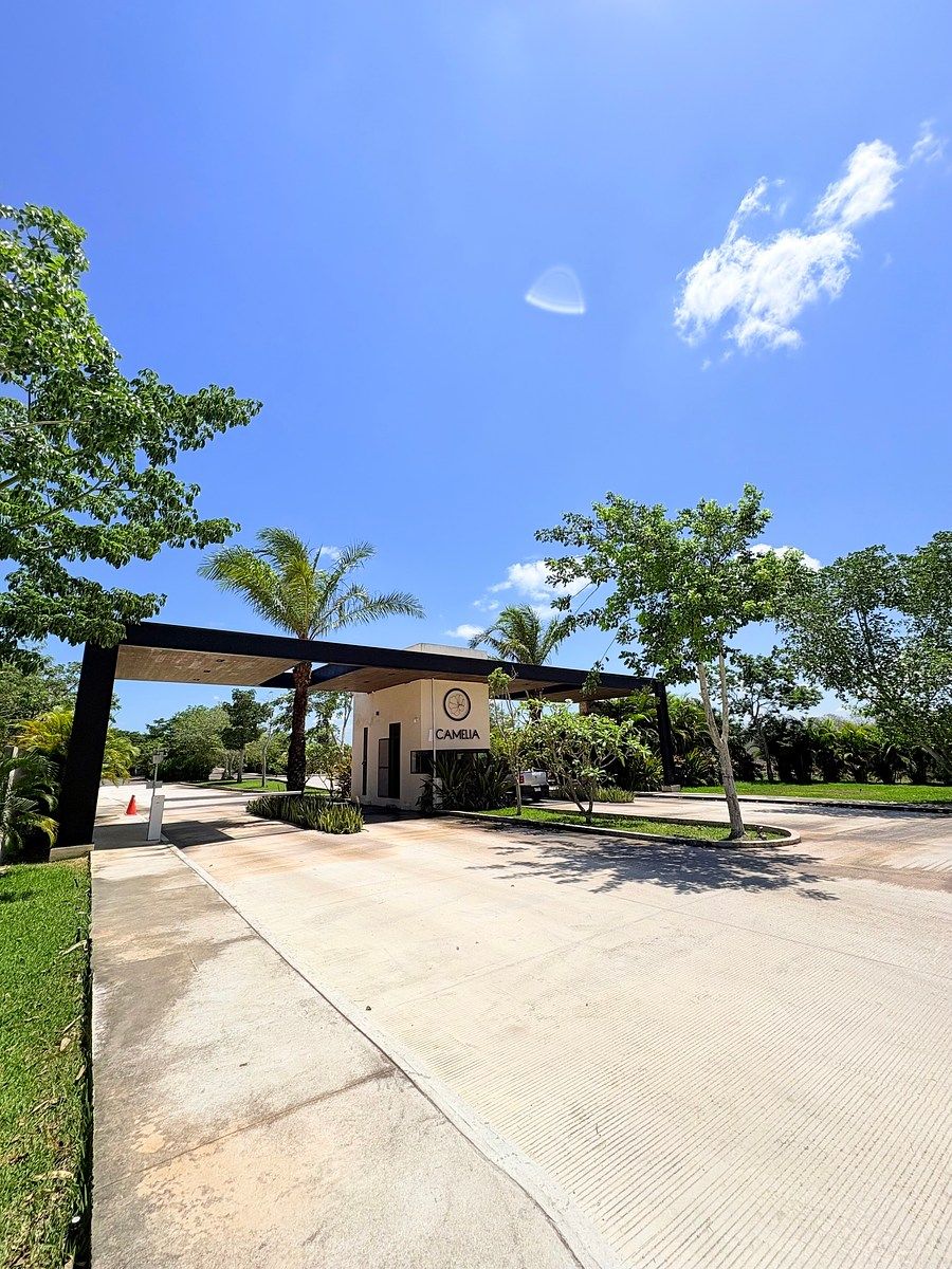Lot in Sitpach, Mérida, photo 2 of 12