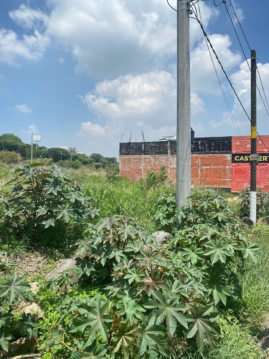 Terreno en Puerta Sol, Tonalá, foto 11 de 11