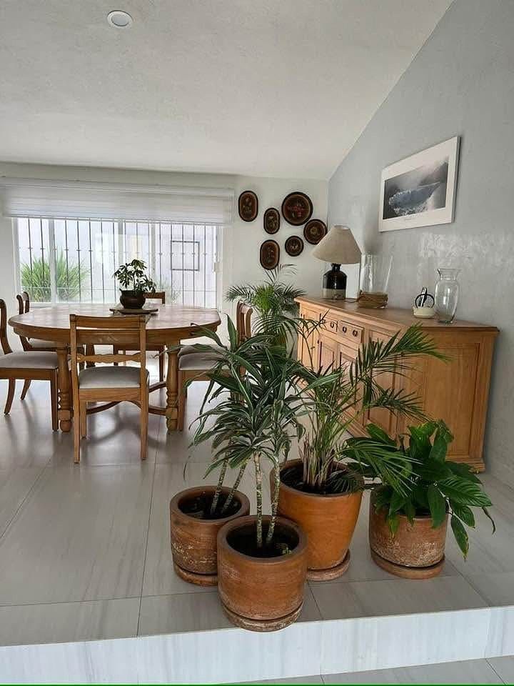 Casa em Campestre los Pinos, Zapopan, foto 8 de 16